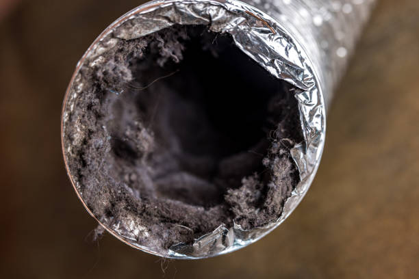 Best Home Air Vent Cleaning  in Antioch, CA